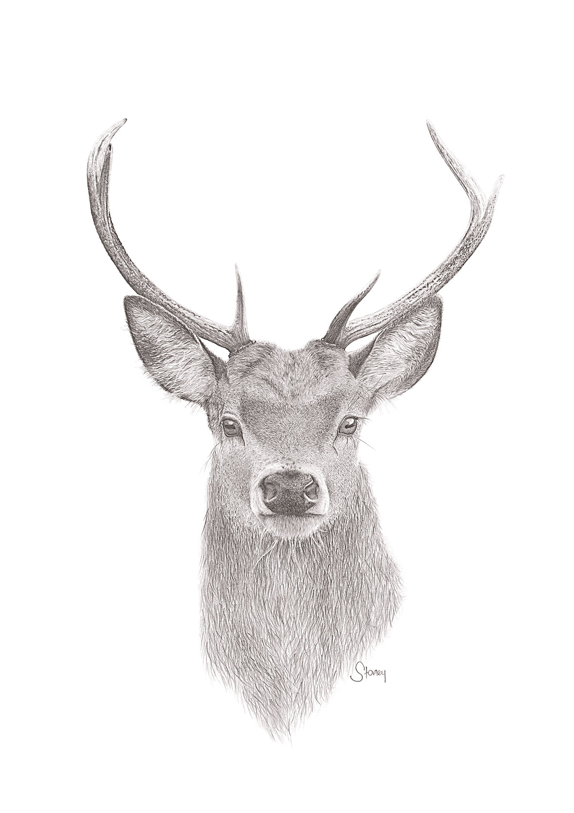Stag Print