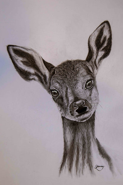 Fawn