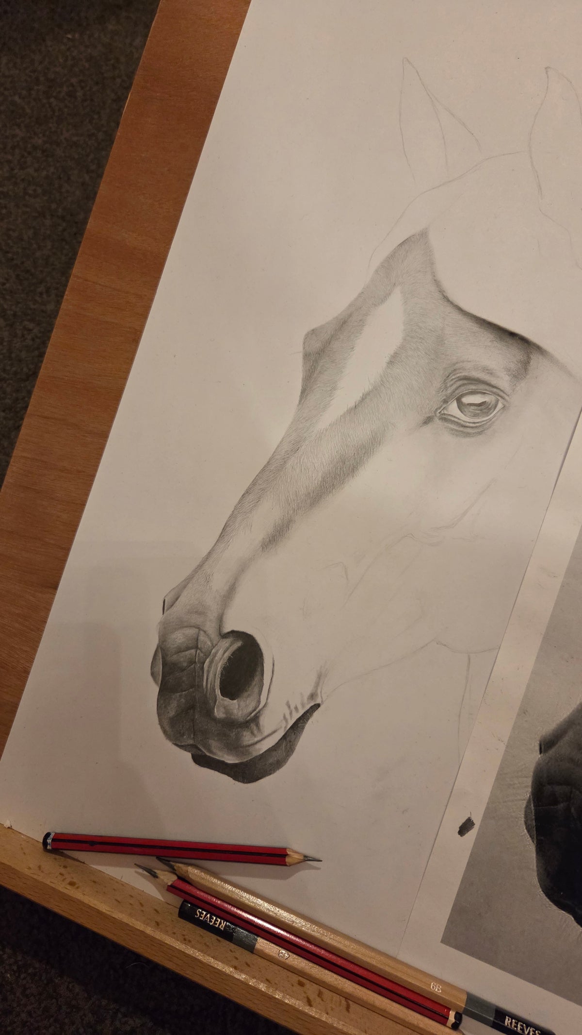 Horse