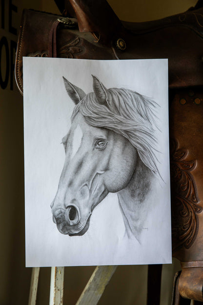 Horse