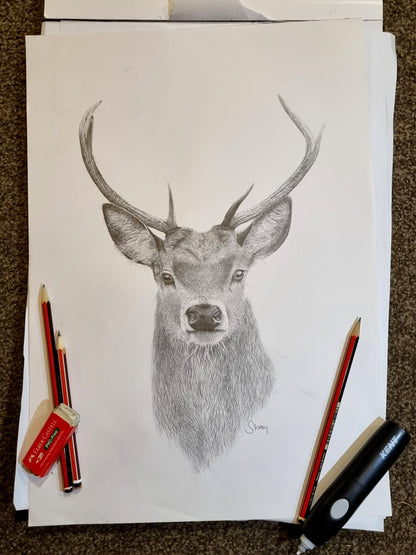 Stag Print