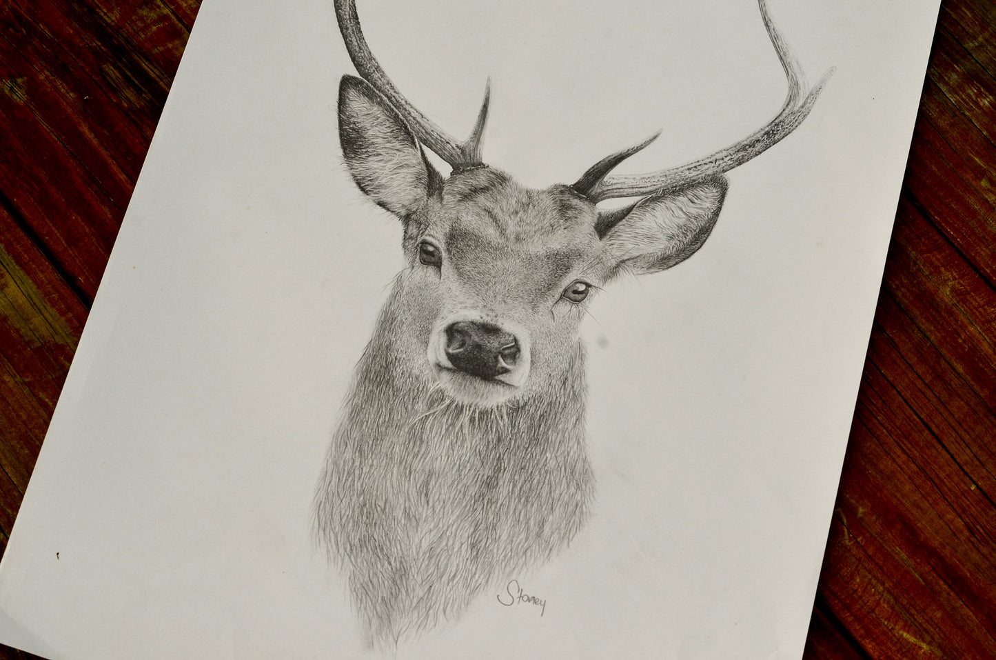 Stag Print