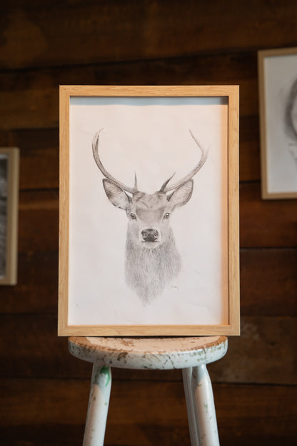 Stag Print