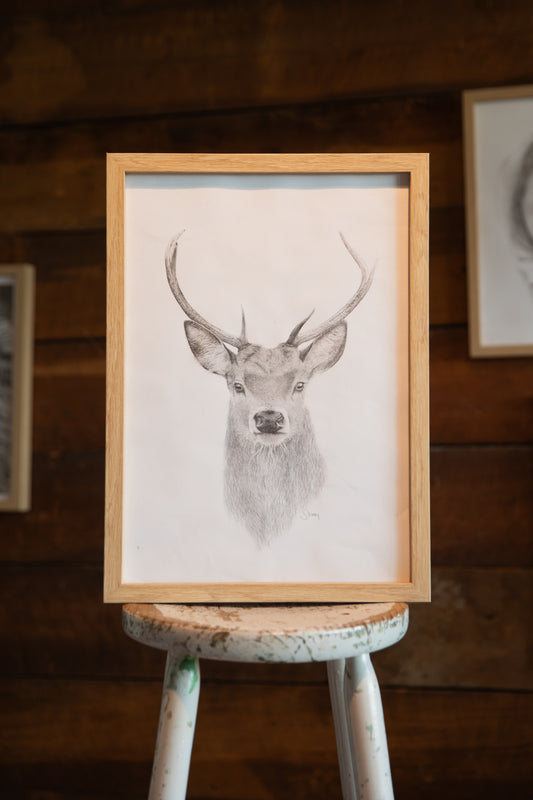 Stag Print