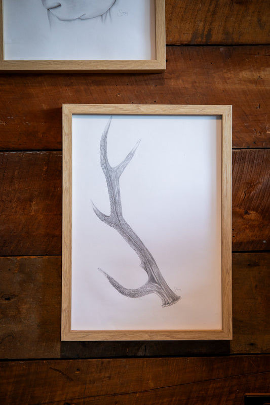 Antler Print